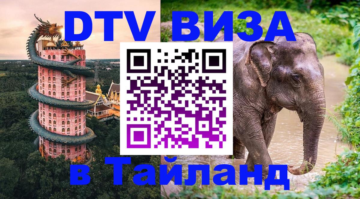 Оформление DTV визы под ключ: стоимость и тарифы, только загранпаспорт - 03.10.2025 